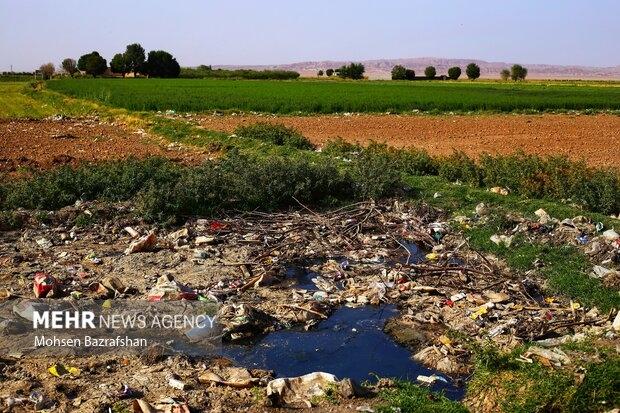 سیاه‌جوی بلای سلامتی محمدشهری‌ها