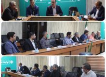 برگزاری جلسه ستاد مناسب سازی معابر و اماکن عمومی چهارباغ