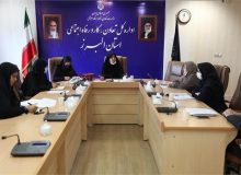نشست پیگیری اجرای قانون حمایت از خانواده و جوانی جمعیت برگزار شد