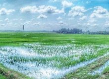 ما تقریباً ۲۰ برابر میانگین جهانی آب مصرف می‌کنیم