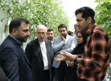 نسل دوم گلخانه هوشمند در پارک فاوا البرز افتتاح شد