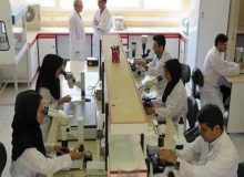 ۱۰۰ واحد کارگاهی دانش بنیان در شهرک های صنعتی البرز راه اندازی می شود