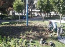 ۲۲ هزار گل فصلی در منطقه ۶ کرج کاشته شد
