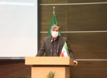 برنامه‌ریزی برای رسیدن به کشت ۵۰۰ هزار هکتار گیاهان دارویی تا سال ۱۴۰۵