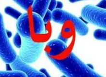 علائم وبا را بشناسید