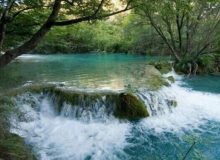 سهم سکونتگاه‌های مسیر رودخانه کرج در آلودگی آب