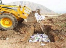 معدوم‌سازی ۱۸ تن خوراک دام در نظرآباد