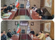 اولین ملاقات مردمی دکتر گلرخی شهردار شهر جدید مهستان برگزار شد