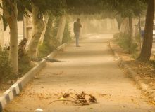 پیش بینی غبار محلی برای آسمان البرز