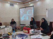 کارگاه تخصصی ویژه اجرای طرح پیشگیری از معلولیت های دوران سالمندی برگزار شد