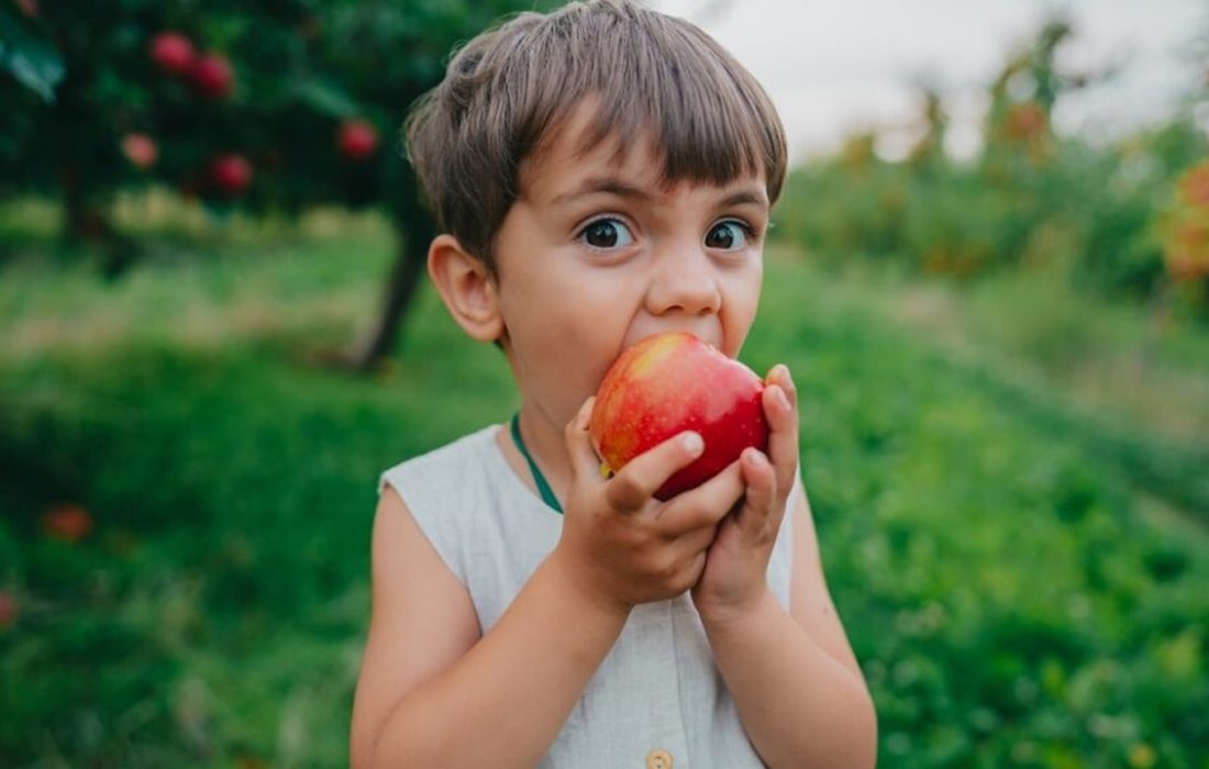 ۶ خوراکی خانگی برای تیزبین شدن کودکان مدرسه‌ای