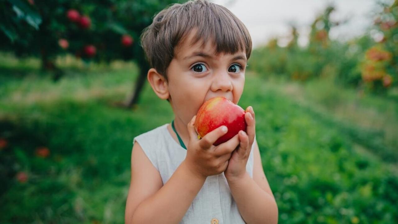 ۶ خوراکی خانگی برای تیزبین شدن کودکان مدرسه‌ای