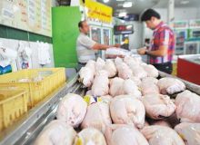 آخرین قیمت مرغ و میوه در بازار روزهای کرج