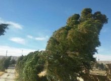 هواشناسی البرز هشدار سطح زرد صادر کرد