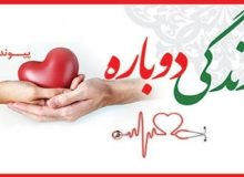یکی از اعضای بدن دانش آموزی کرجی اهدا شد