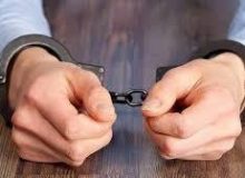 دستگیری سارق احشام در “نظرآباد”