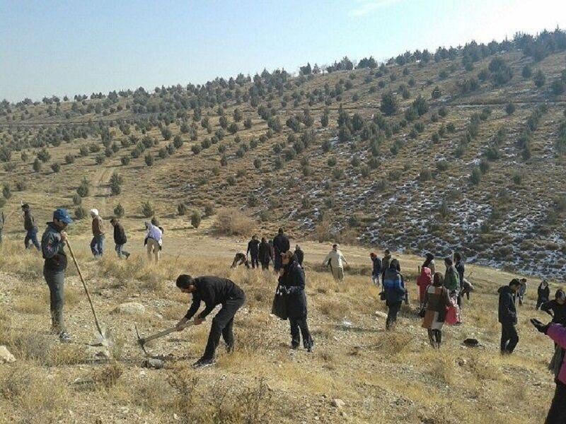 مشارکت  فعال مردم مهمترین راه نجات منابع طبیعی  البرز است