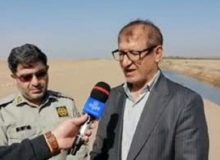 شترهای سرگردان یکی از علل اصلی غبارخیزی تالاب صالحیه البرز است