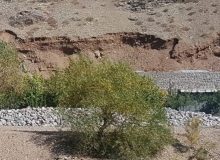 طبیعت خواری که سیری ناپذیر است فیلم و تصاویر