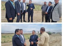 بازدید میدانی مدیریت شهری چهارباغ از عملیات عمرانی ابتدای بلوار شهید سردار سلیمانی