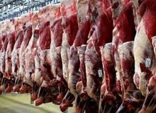 نقش ناظرین شرعی و بهداشتی کشتارگاه‌ها، در تأمین غذای حلال