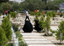 گونه‌های درختی آرامستان بهشت سکینه (س) یکسان سازی می‌شود