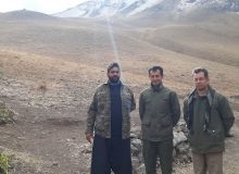 تداوم فعالیت نیروهای اجرایی محیط زیست البرز جهت پیشگیری و کنترل طاعون نشخوار کنندگان