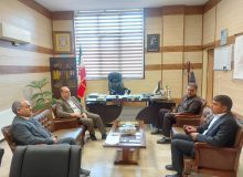 قرارگاه جهادی اشتغال استان، طرح اشتغال جوانان در نظرآباد را اجرا می کند