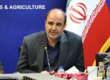 رشد اقتصادی ضریب مسئولیت پذیری اجتماعی را ارتقا می بخشد