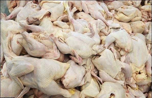 کشف بیش از ۵ تن مرغ خارج از شبکه توزیع