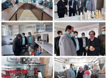 بازدید فرماندار نظرآباد از واحد تولیدی رهپویان شمیم ایرانیان