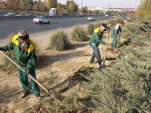 فاز دوم بهسازی فضای سبز حاشیه اتوبان تهران- قزوین به زودی آغاز می‌شود