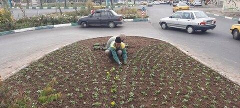 ضرورت ارتقای فرهنگ حفظ و توسعه فضای سبز شهری در بین شهروندان