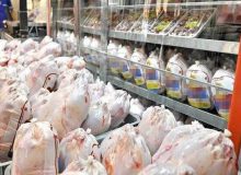 ۱۴۴ تن گوشت مرغ در مناطق کم برخوردار البرز توزیع می‌شود