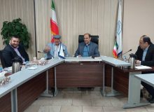 تشکیل زنجیره تولید تا مصرف در بخش تعاون ضروری است