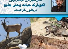 کلان شهر کرج موسس اولین اکو پارک حیات وحش جامع در کشور خواهد شد