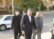 تحقیقات و ترویج در کنار تولید قرار گیرند