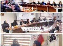برگزاری کارگاه آشنایی با بازارهای هدف صادراتی کشور پاکستان