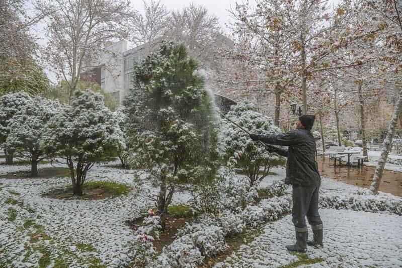 قول داده بودی با اولین برف به خیابان برویم…