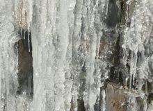 کشاورزان البرزی محصولات خود را در برابر یخبندان حفظ کنند