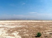 تالاب صالحیه در حسرت مهمان نوازی