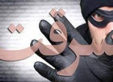 سرقت های خرد در البرز ۱۲ درصد کاهش یافت