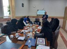 کارگاه آموزشی تطبیق مجوز مراکز کودکستان برگزار شد