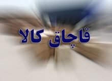 خودرو حامل کاپوچینو قاچاق توقیف شد