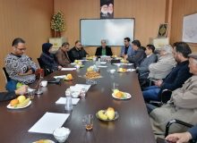 مشکلات هنرمندان صنایع دستی روستای گلستانک بررسی شد