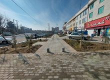 بیش از ۲۰ هزار اصله نهال در فردیس کاشته می شود