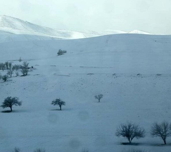 سامانه بارشی در راه البرز است