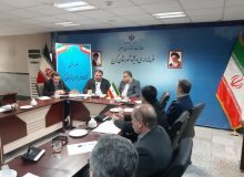 کتابخانه های سیار نقطه عطف خدمت رسانی به روستاهای البرز است