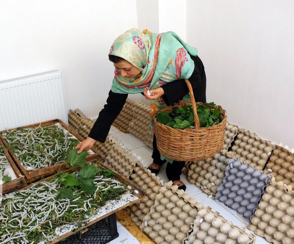 طرح  اشتغال خانگی در محلات البرز به اجرا درآمد