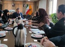 کاهش مصرف گاز با مدیریت بانوان محقق می شود
